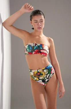 Pain de Sucre bahati Flower Outlet