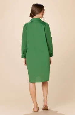 Pain de Sucre cassandre Vert Olive New