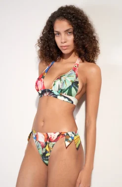 Pain de Sucre diva mo Flower Sale