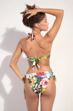 Pain de Sucre donia Flower Sale