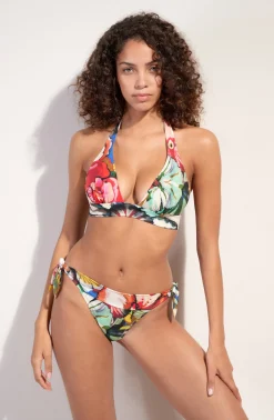 Pain de Sucre donia Flower Sale