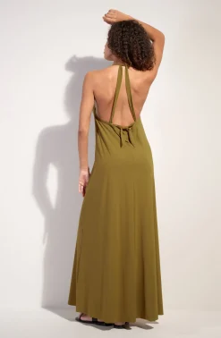 Pain de Sucre licie Bronze