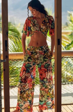 Pain de Sucre pitta Flower Best