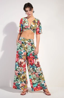 Pain de Sucre pitta Flower Best