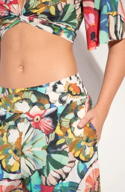 Pain de Sucre pitta Flower Best