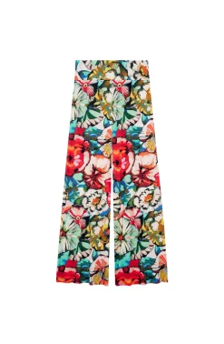 Pain de Sucre pitta Flower Best